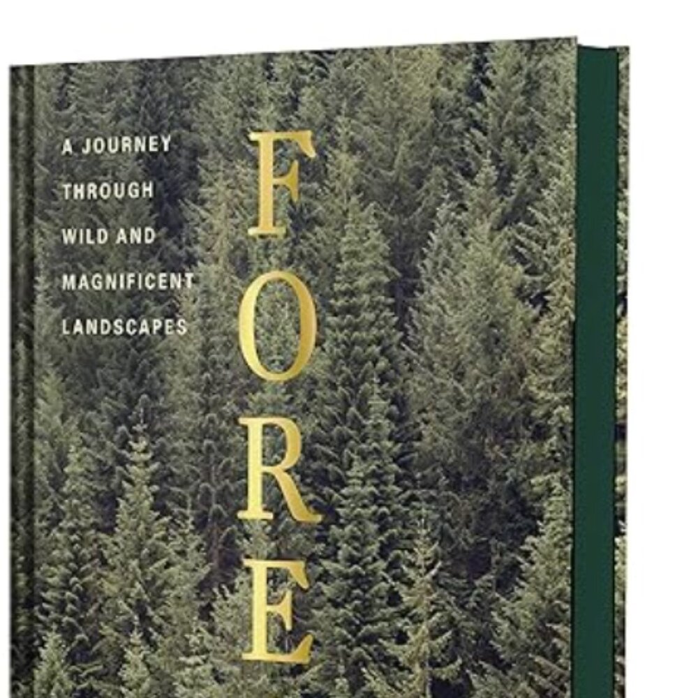 Forest: (Tree Photography Book, Nature and World Photo Book) Hardcover
